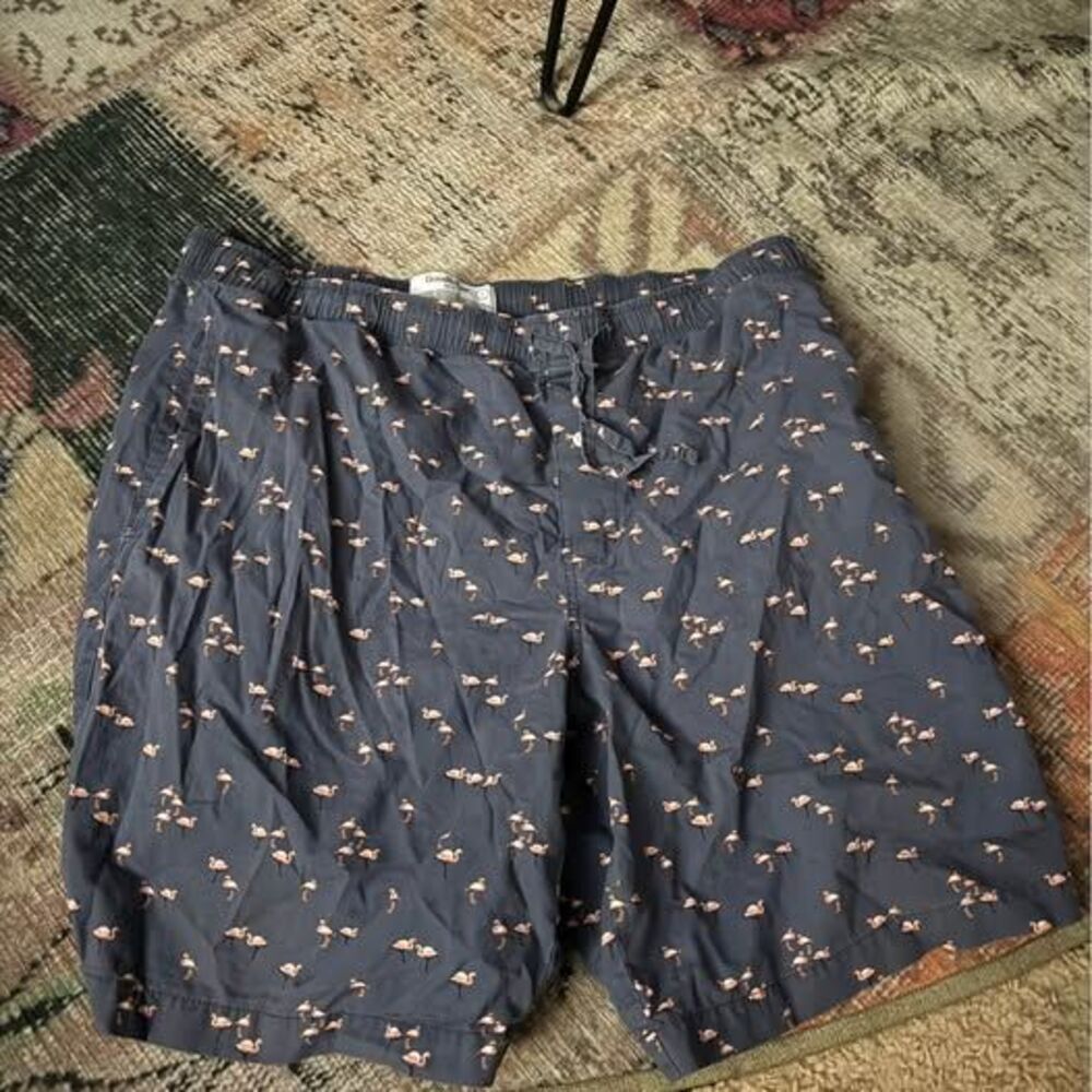 Goodfellow & Co Men's Flamingo humor funny Print Shorts Size L
